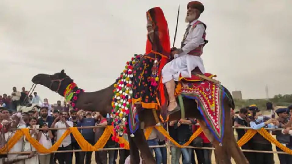 Photos of Bikaner International Camel Festival