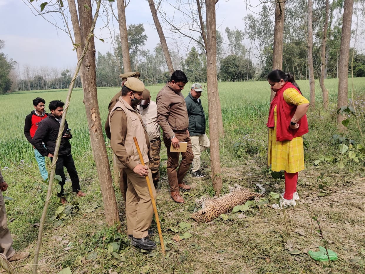 Guldar dies due to HT power line current