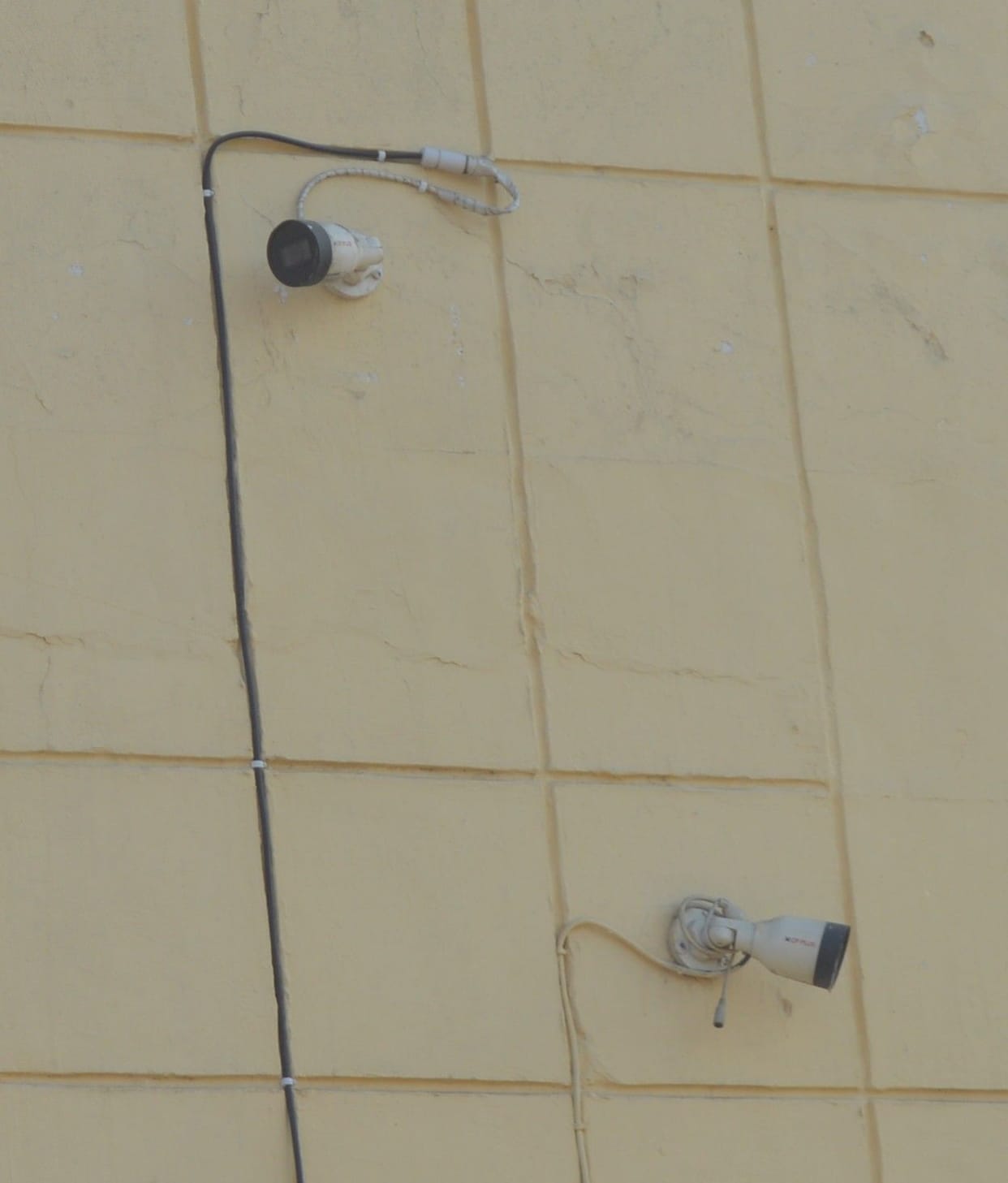Hathras: CCTV cameras on target of monkeys, showpieces made in most offices