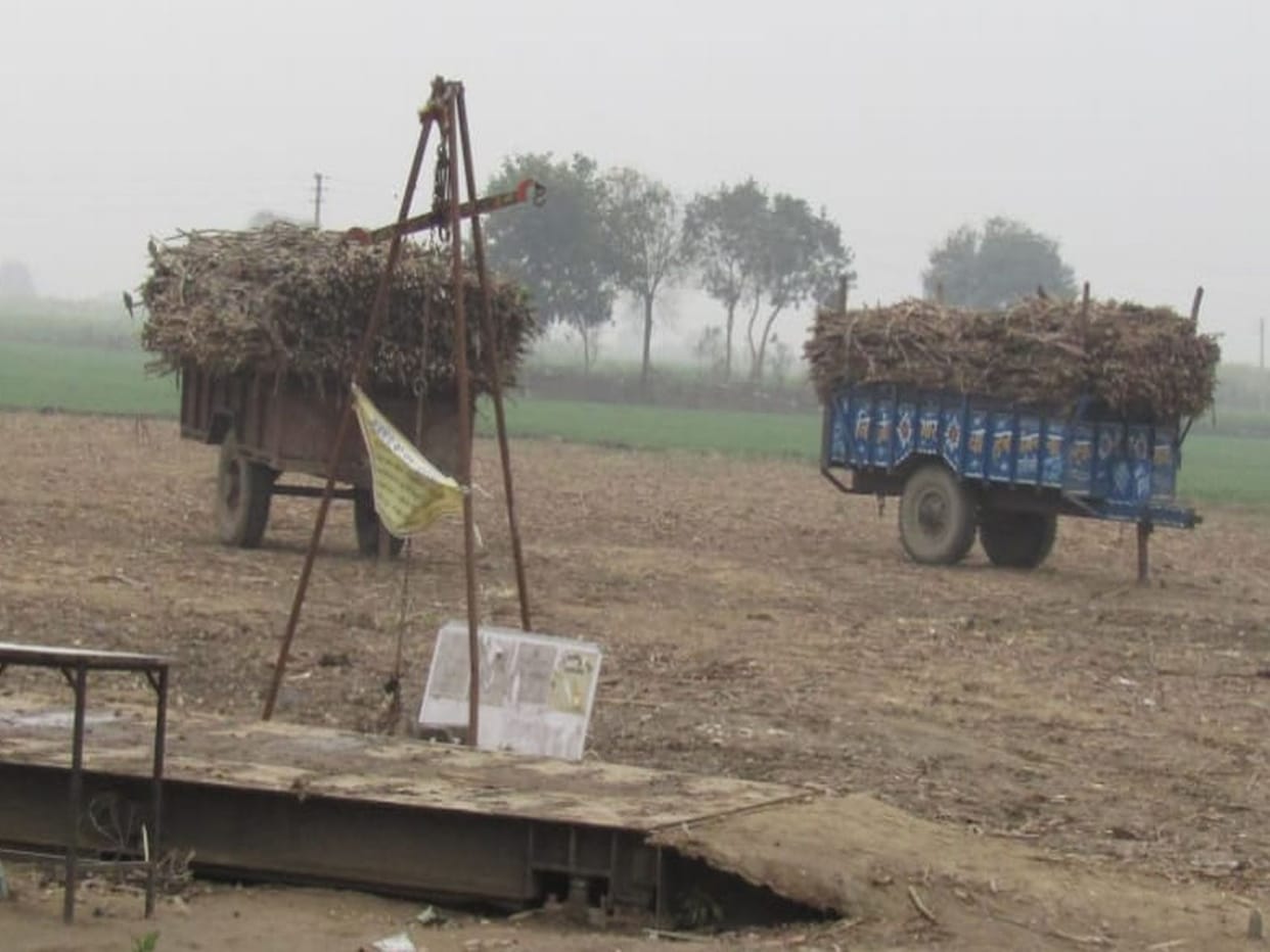 suger mill