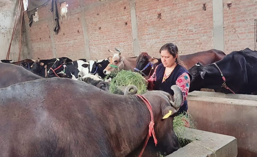 Perseverance and determination gave flight to Surbhi Singh's dreams