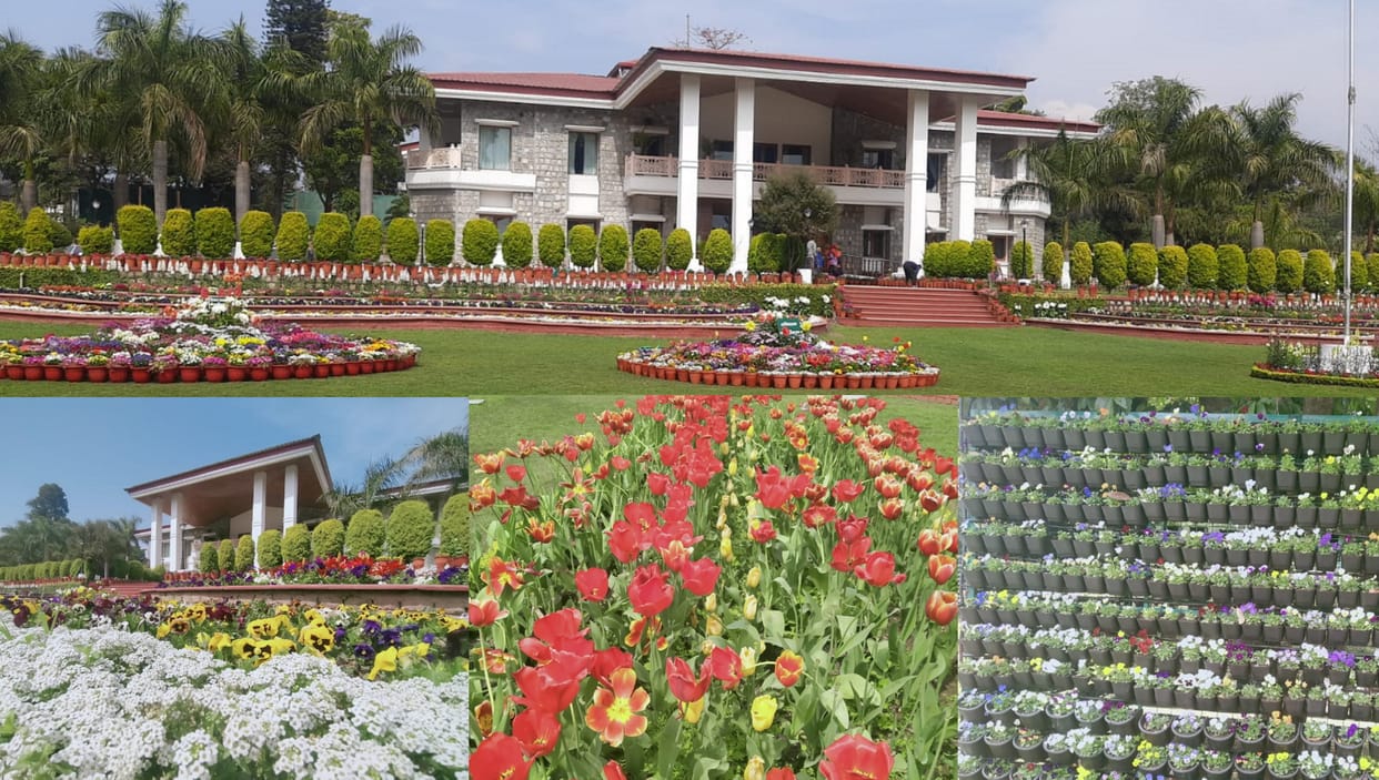 Vasantotsav 2022: Raj Bhavan decorated with flowers, exhibition will be open for the public till 6 pm, See photos...