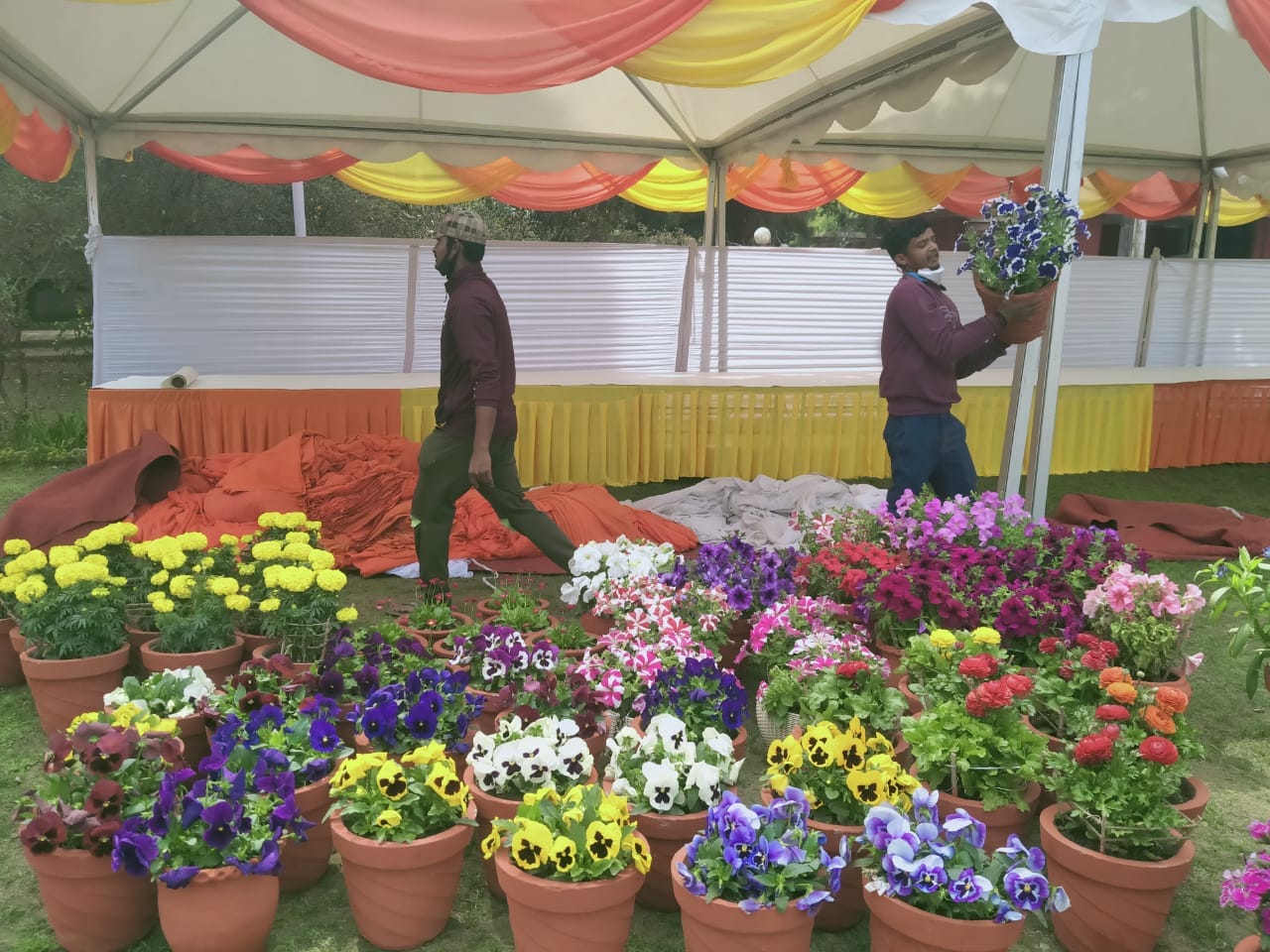 Vasantotsav 2022: Raj Bhavan decorated with flowers, exhibition will be open for the public till 6 pm, See photos...