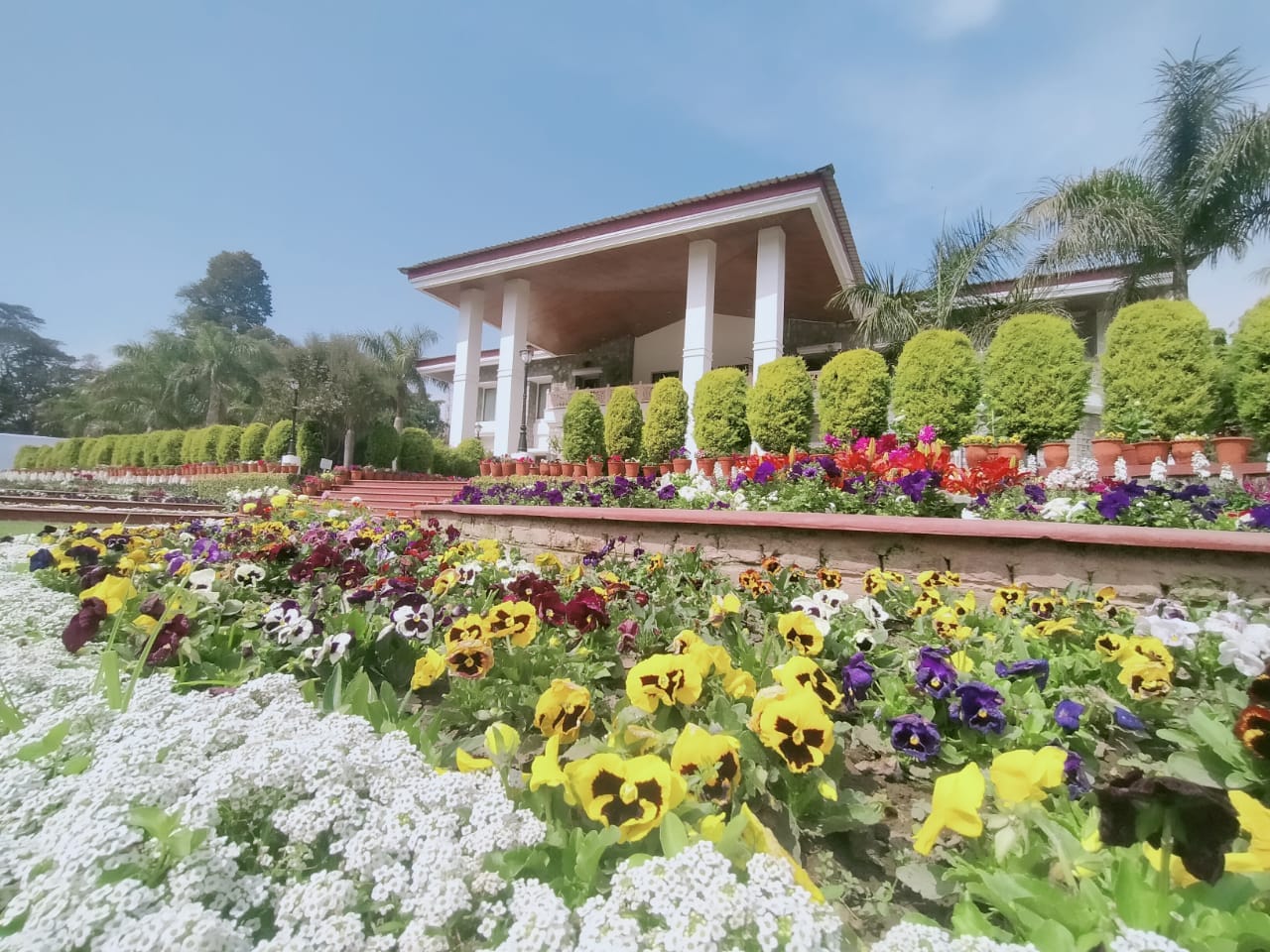 Vasantotsav 2022: Raj Bhavan decorated with flowers, exhibition will be open for the public till 6 pm, See photos...