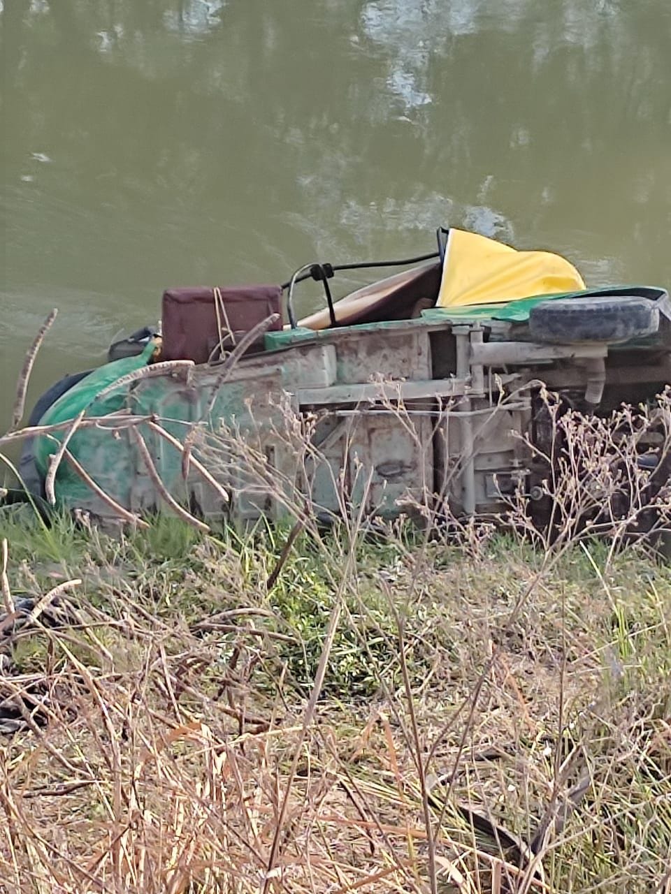 After hitting the cattle, the auto fell into the canal, seven injured