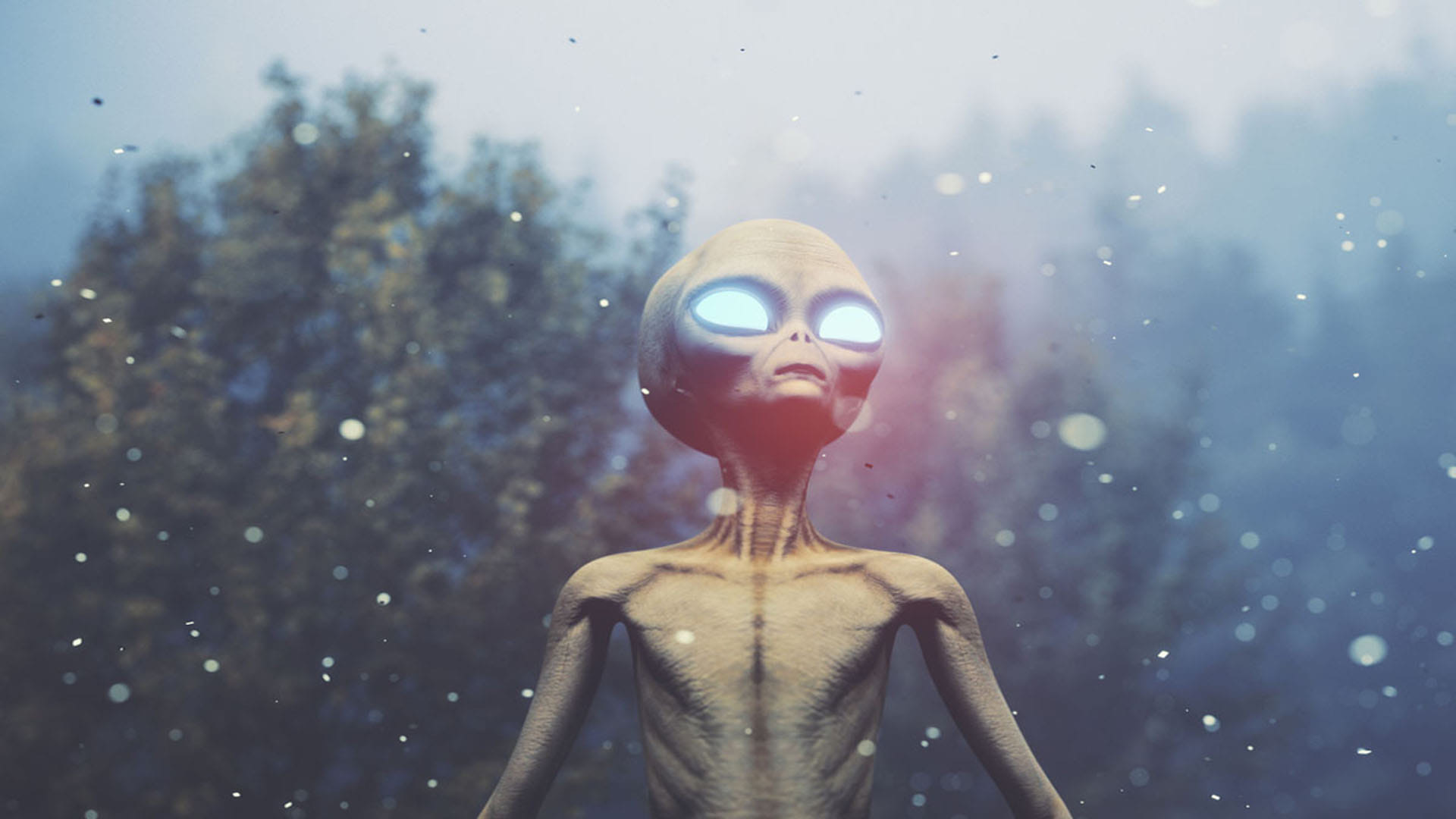 Weird Facts Aliens Living On Earth Will Attack Humans Know What American Professor Said
