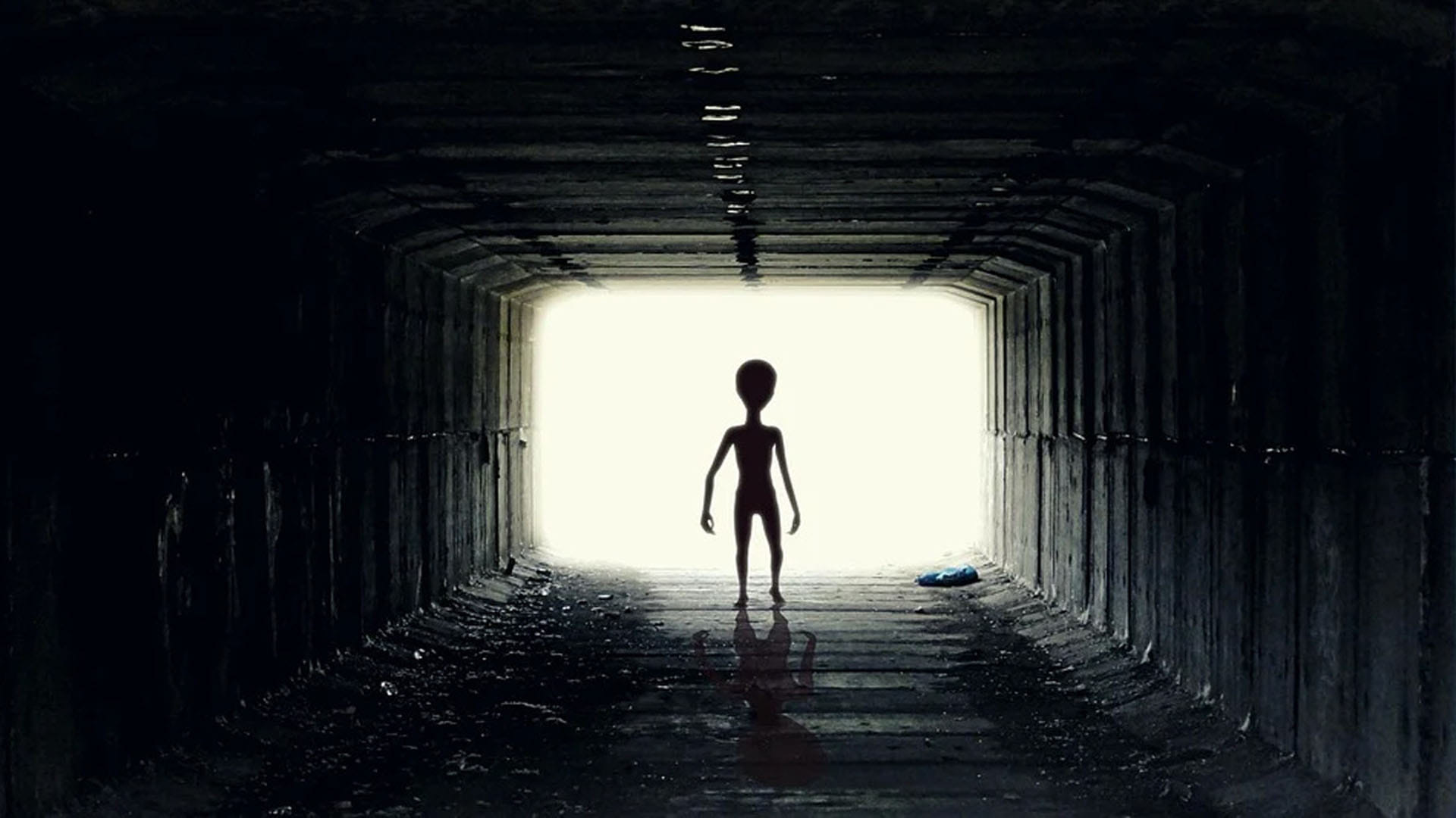 Weird Facts Aliens Living On Earth Will Attack Humans Know What American Professor Said