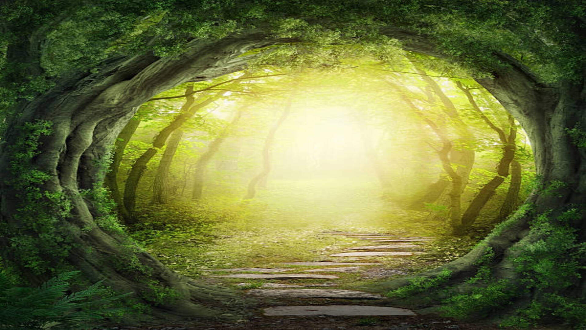 Dream Astrology What Is The Meaning Of Seeing Forest In Dreams
