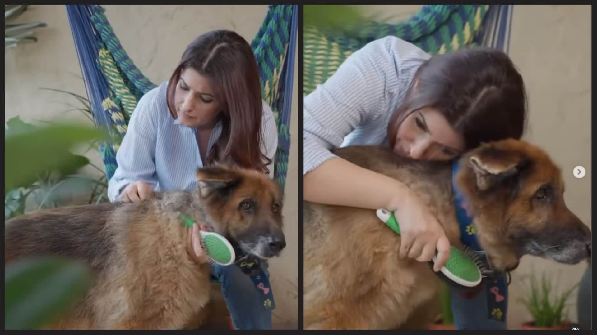 Akshay Kumar and Twinkle Khanna have shared posts to express their emotions after the death of their pet, Cleo