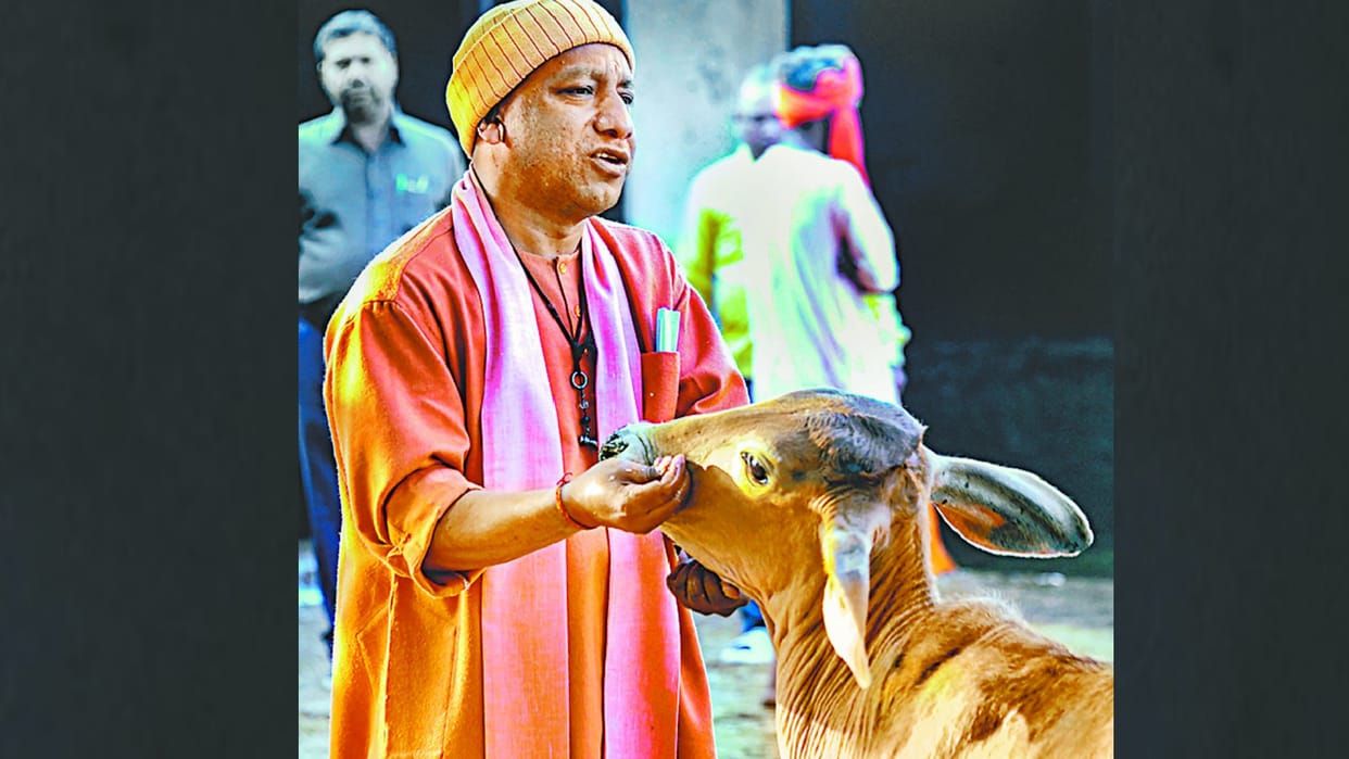 UP Election Result 2022: Yogi Adityanath Breaks 37 Years Myth of Not Coming to Noida BJP Towards 2nd Time Victory in UP