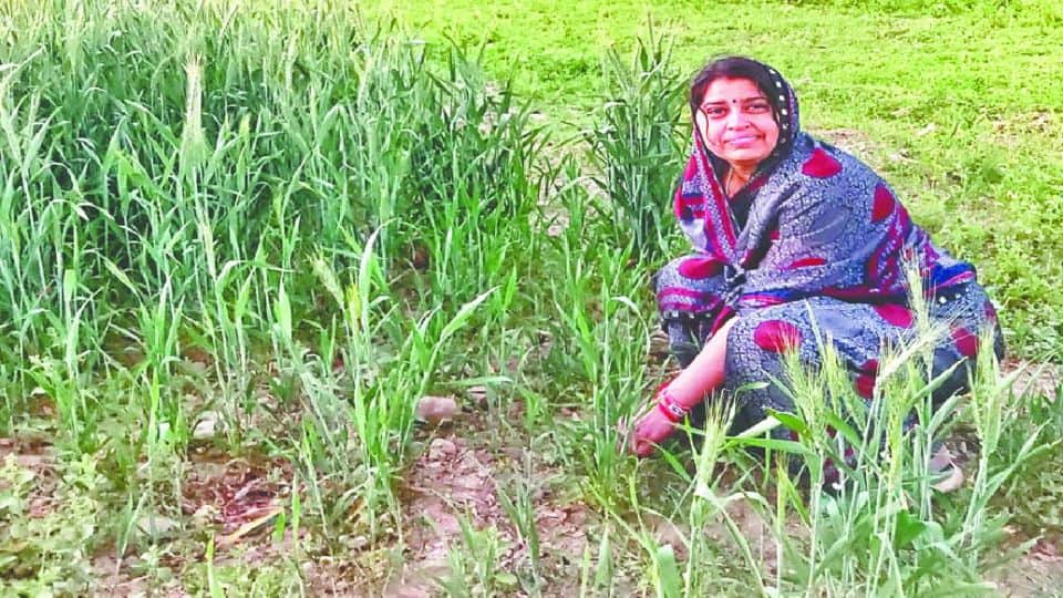 International Women's Day 2022 these women of Agra are examples of struggle, strength and determination
