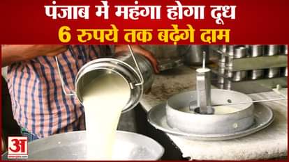 Price Of Milk Can Be Increased In Punjab Top News