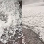 सड़कों पर बिछी बर्फ की चादर