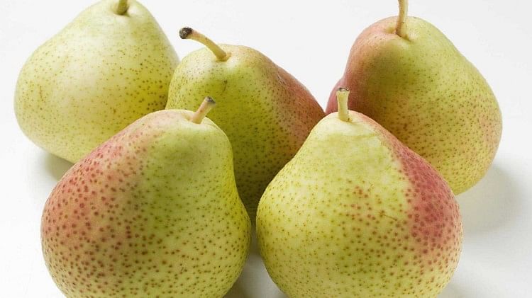 बहुत अच्छा फल है नाशपाती, मगर इसके नुकसान भी जान लीजिए तो बेहतर-Pear is a very good fruit, but it is better to know its disadvantages also.