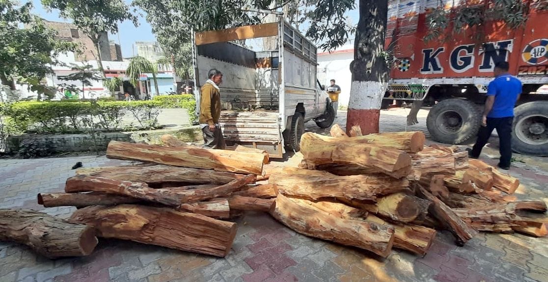 Pickup car caught with khair wood