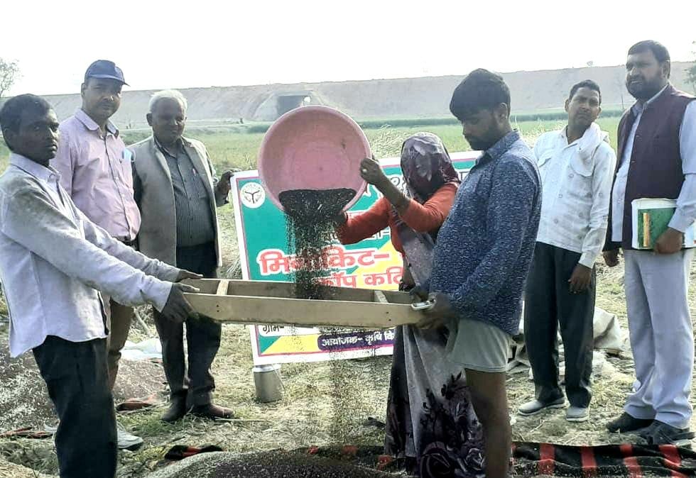 Mustard production increased to 25 quintals per hectare