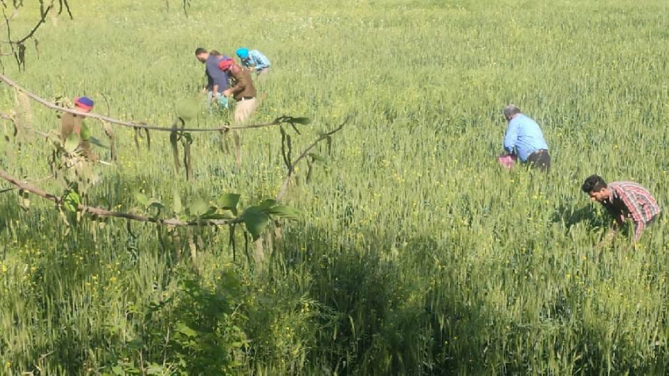 Blast outside police post in Ropar district of Punjab