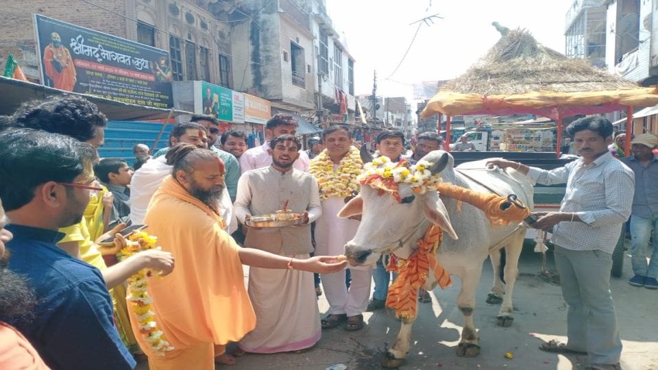 Bull cart trial on Govardhan Parikrama Marg in Mathura