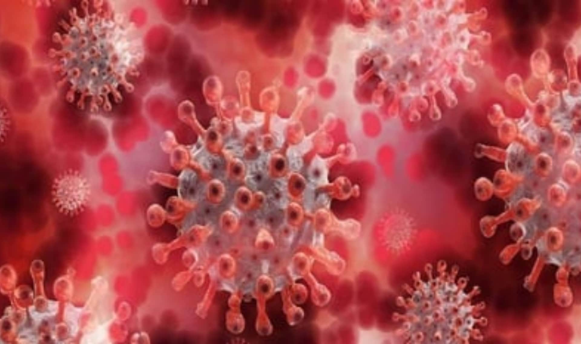 CBSE Term-1 Result cbse will declare 10th 12th term 1 exam 2022 result anytime soon, know how to check 