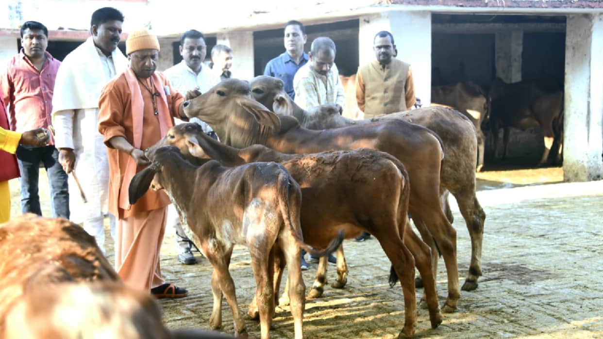 CM Yogi first choice of 70.3 Percentage people in four hot seat