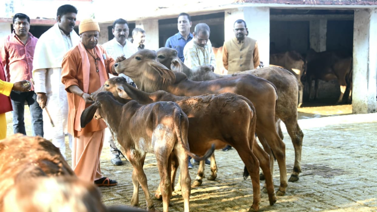 CM Yogi will attend procession of devotee Prahlad