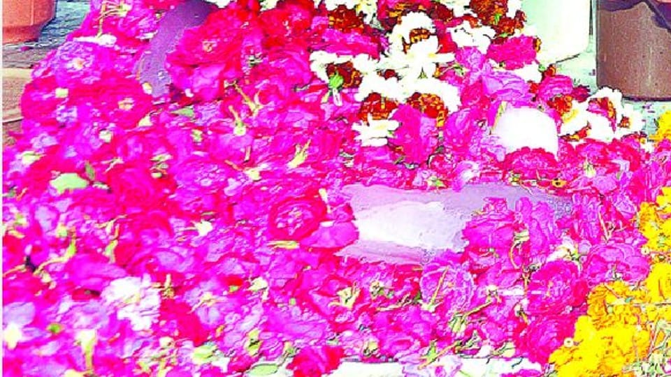UP Election 2022 Flower sales rise before election results in Agra