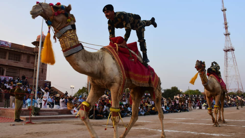 Photos from the last day of Bikaner International Camel Festival