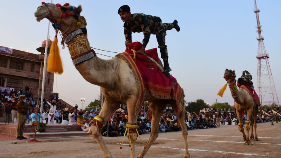 Photos from the last day of Bikaner International Camel Festival