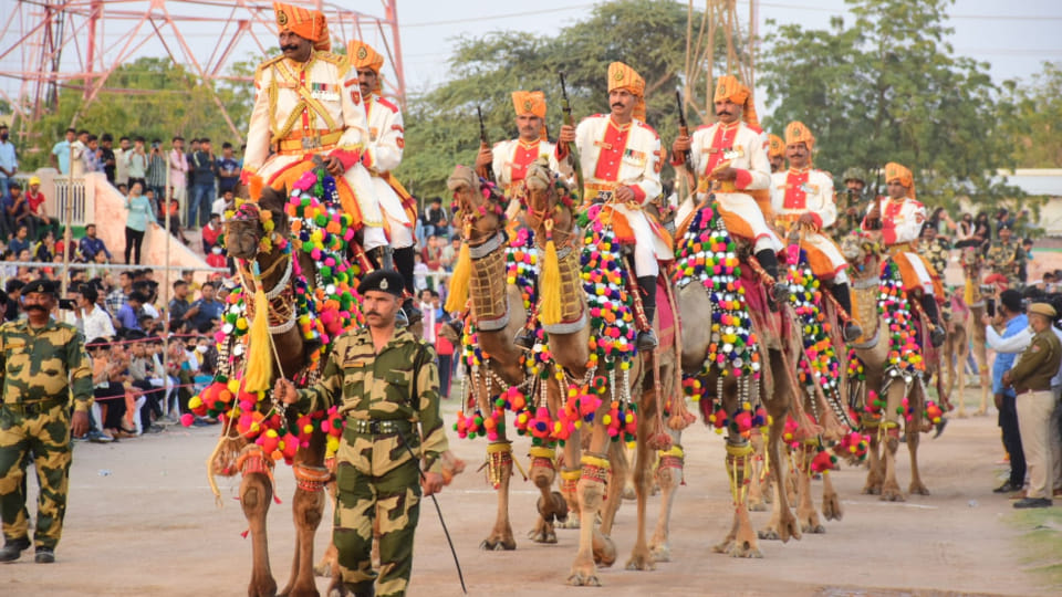 Photos from the last day of Bikaner International Camel Festival