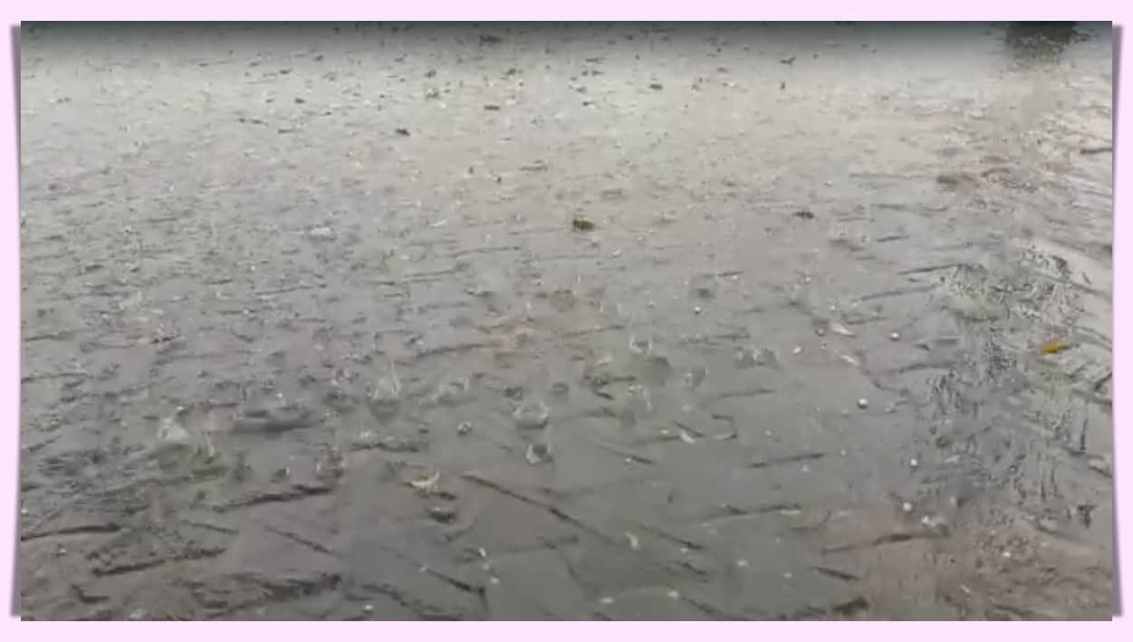 Rajasthan Weather Update drop in temperature due to rain and hailstorm in Rajasthan