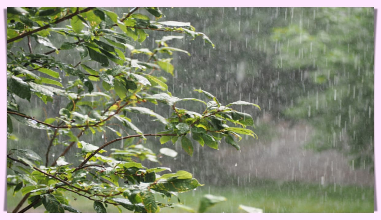 Pre-monsoon showers may come next week, there may be light rain at some places even today in delhi ncr