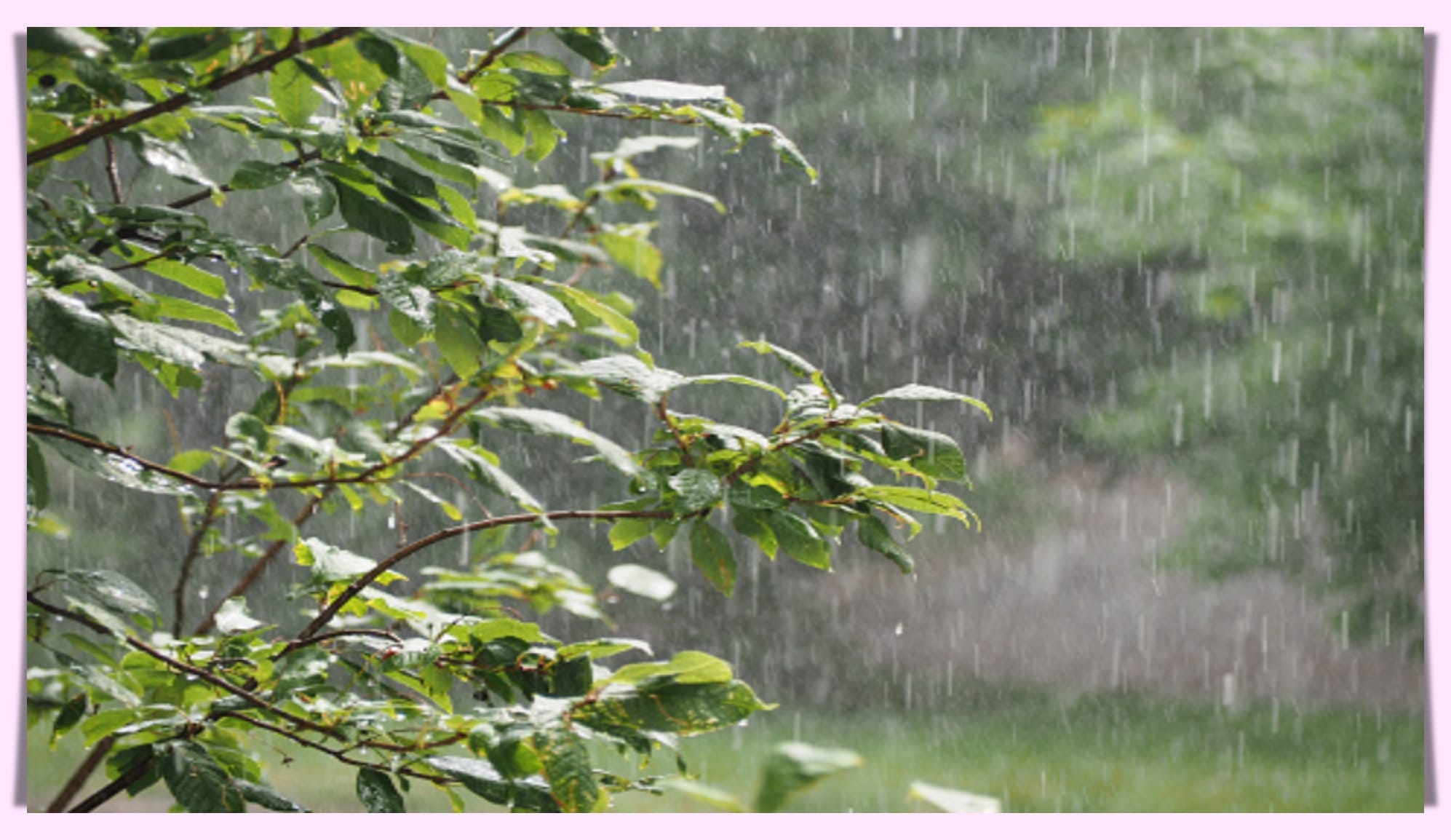 Rajasthan Weather Update drop in temperature due to rain and hailstorm in Rajasthan