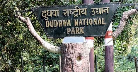 Counting of wildlife starts from sign survey in DTR