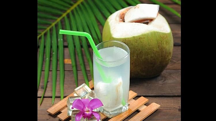 World Coconut Day: नारियल पानी की लगातार बढ़ रही खपत, इम्युनिटी संग देता है ताजगी, कई बीमारियों से रखता है दूर