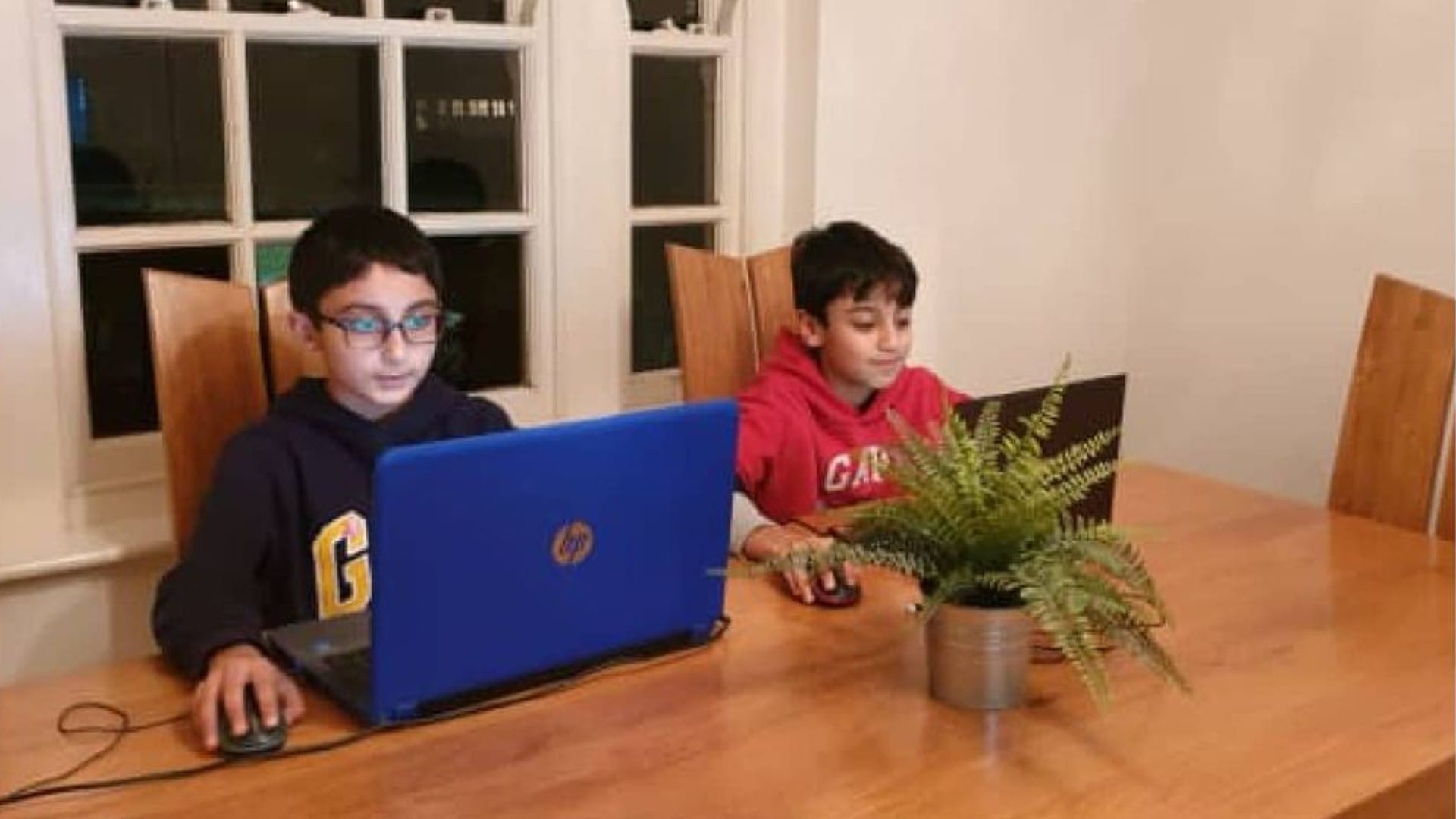 12 year kid benyamin ahmed made more than 3 million pound from NFT collection