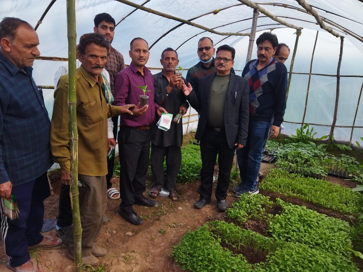 Free seeds given to farmers