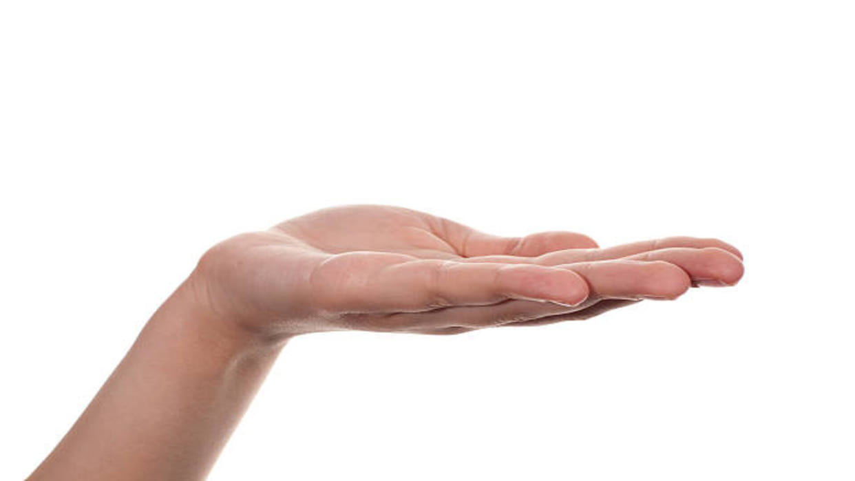 Palmistry in hindi know your future luck and personality by palm size