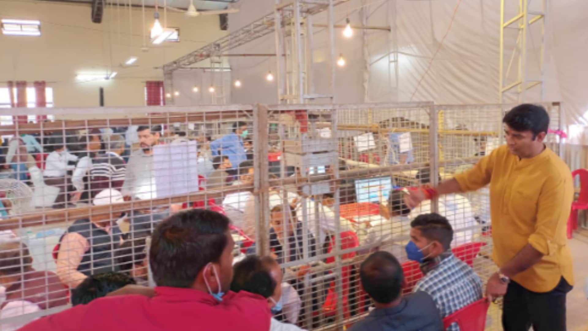 UP Election Result 2022 Dhampur, Nahtaur, Chandpur and Baraut seats have margin of less than 400 wins in western UP