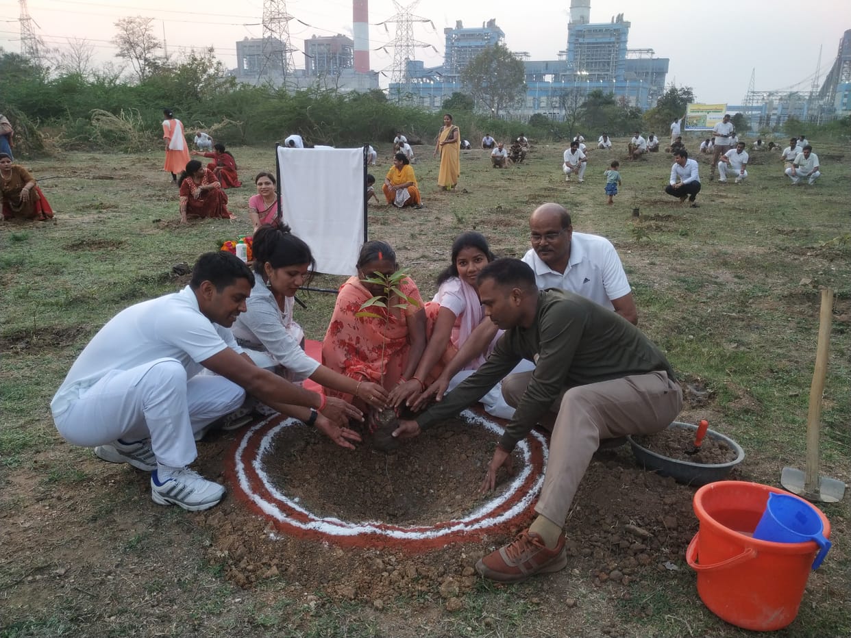 CIRF personnels planted 351 plants