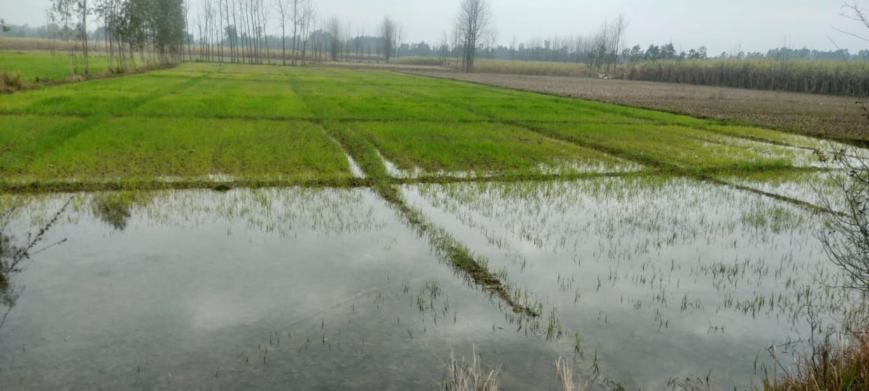 Water released from Ramganga dam, the fields were inundated