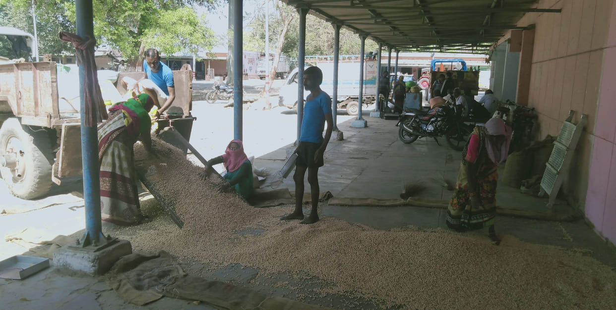 Mandi opened after 20 days, loss of one crore everyday