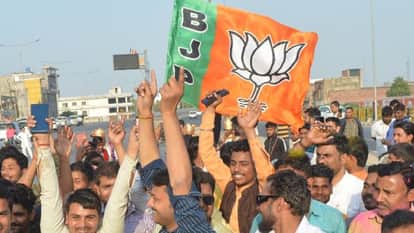 जश्न मनाते भाजपा समर्थक