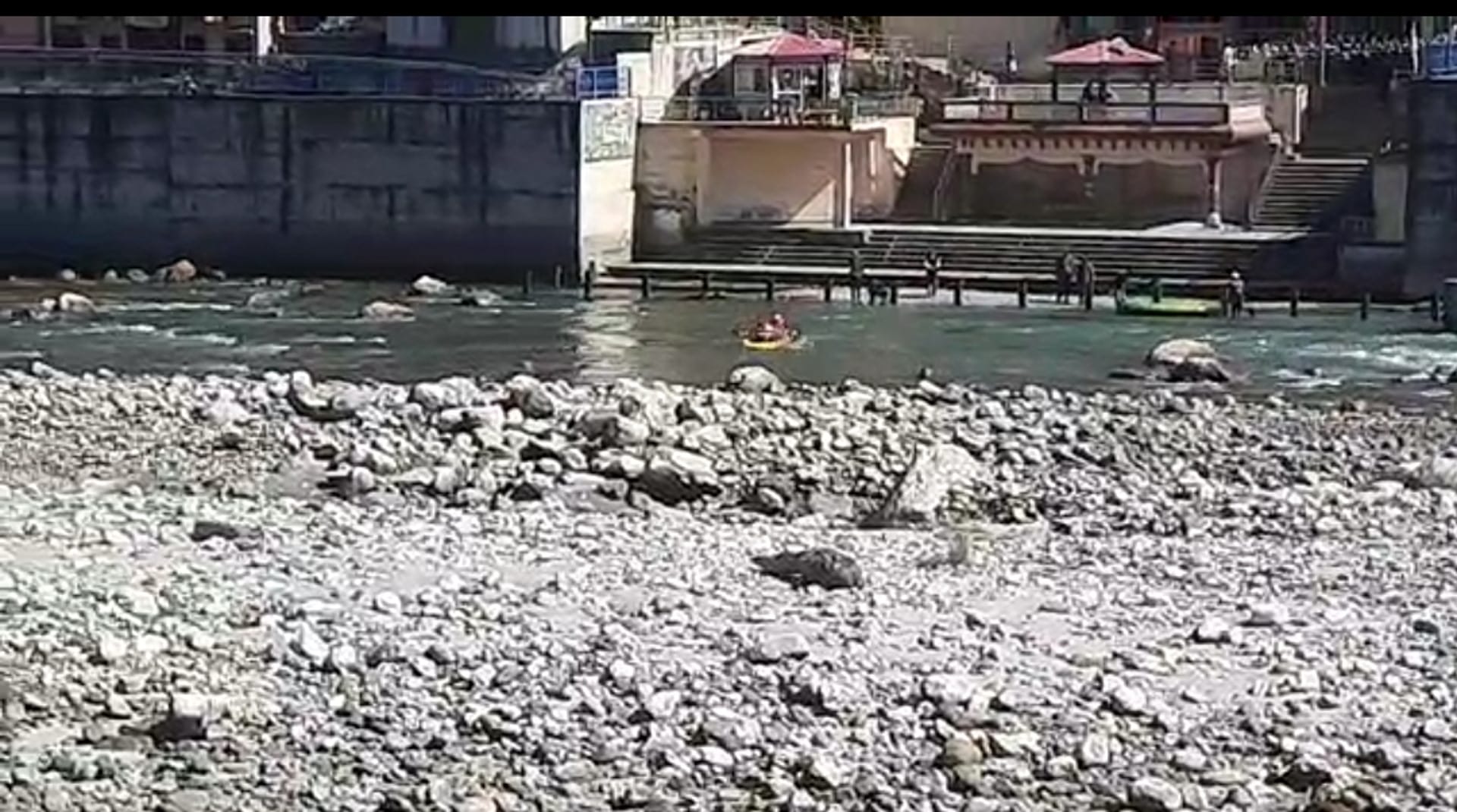 Uttarakhand:  Deer Child went to drink water trapped on island of Bhagirathi, SDRF rescuedऽ See photos