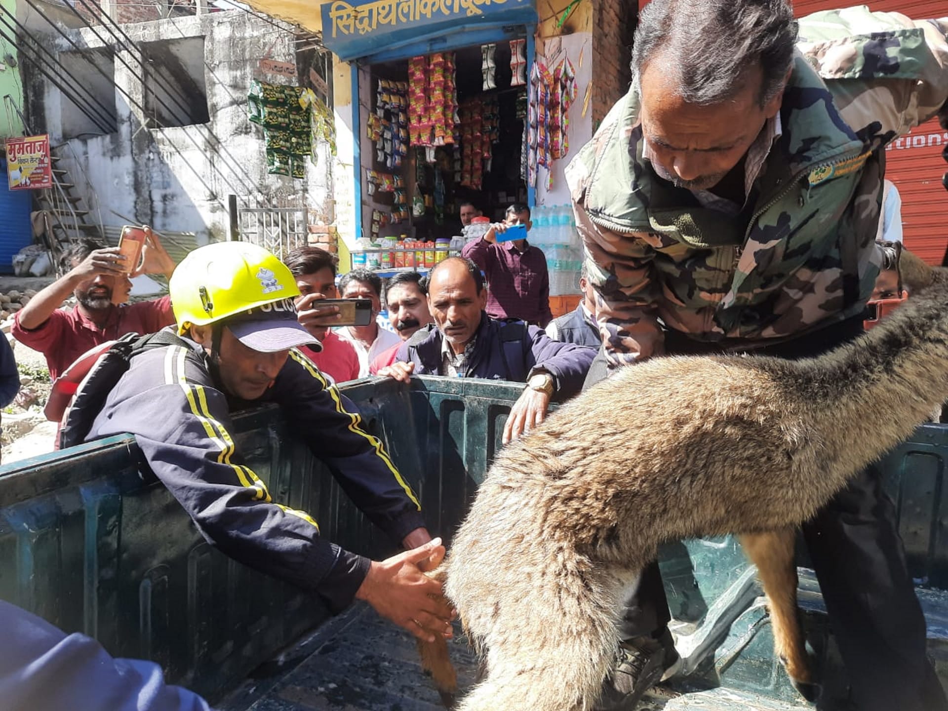 Uttarakhand:  Deer Child went to drink water trapped on island of Bhagirathi, SDRF rescuedऽ See photos