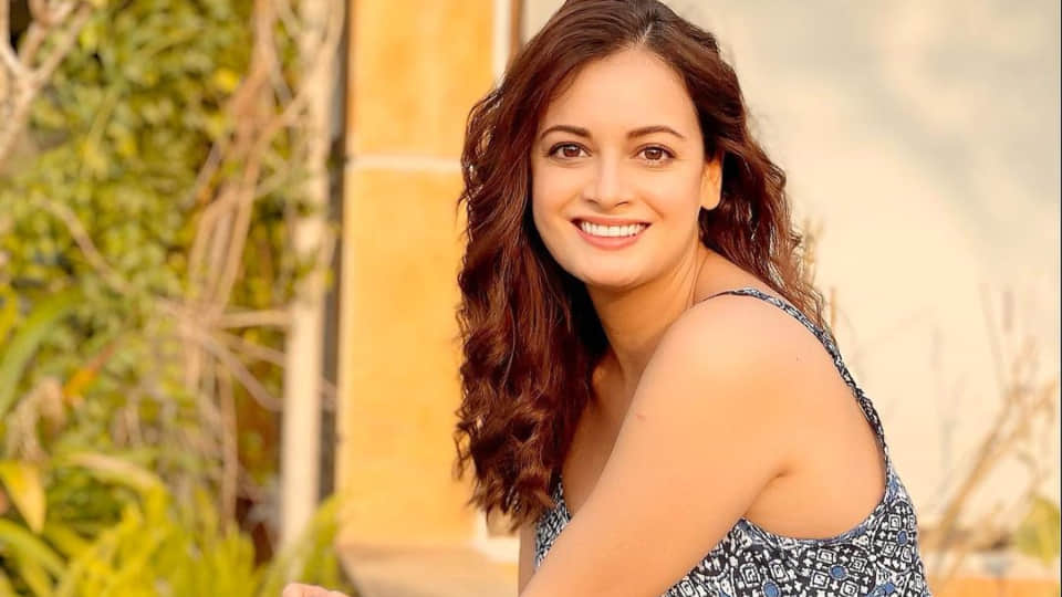 Diwali 2023 Dia Mirza Brutally Trolled For Flaunting Diwali Gifts After Saying  No Gifts Please know details