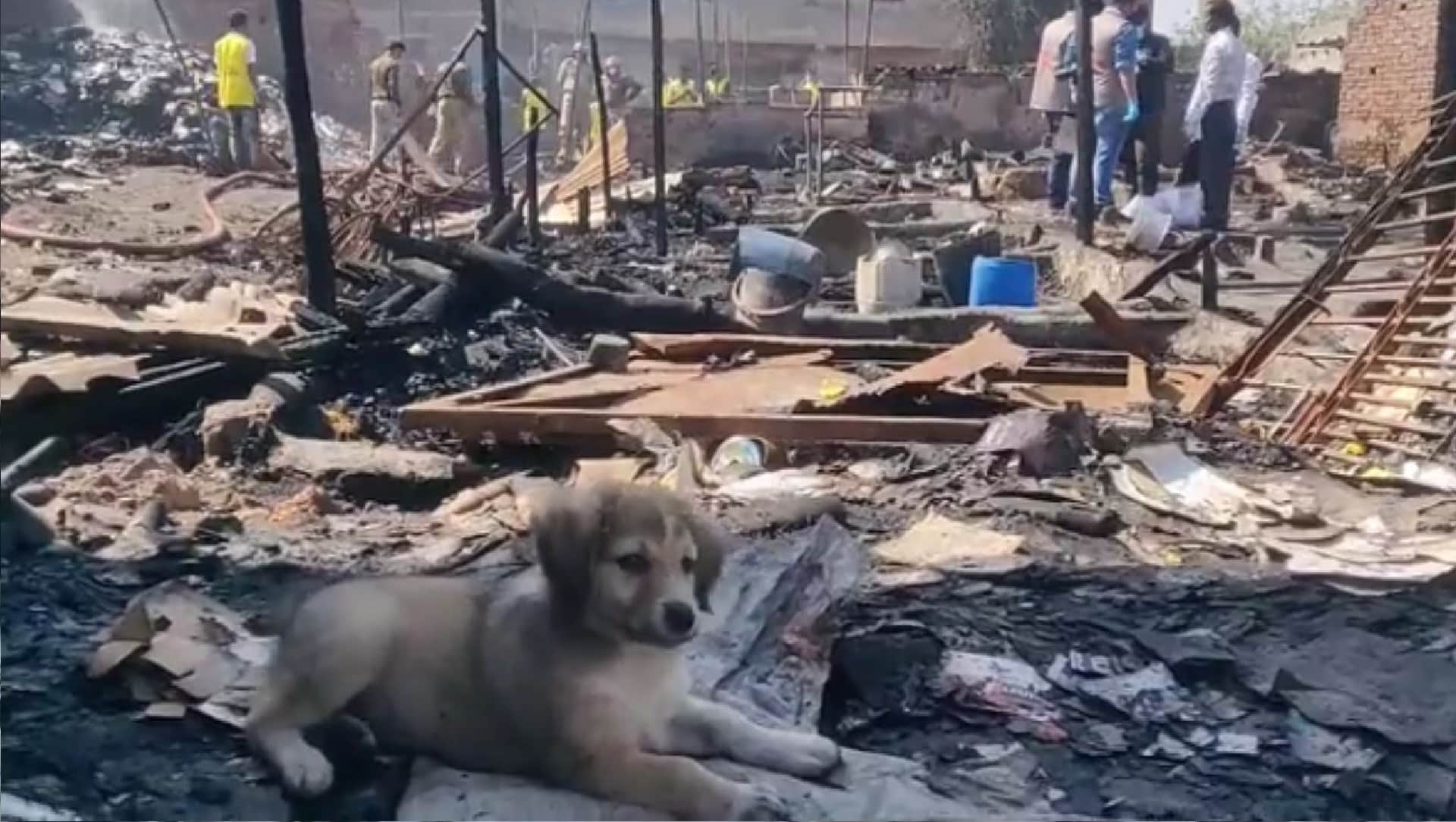 gokulpuri fire accident Jhuggi basti Me lagi aag Relief camps for 35 slums built