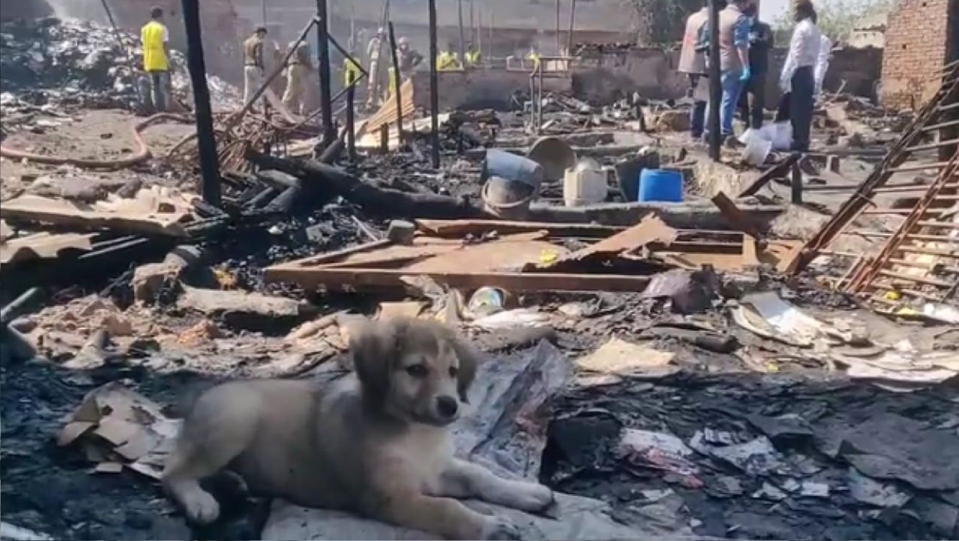 gokulpuri fire news in hindi pictures of the incident