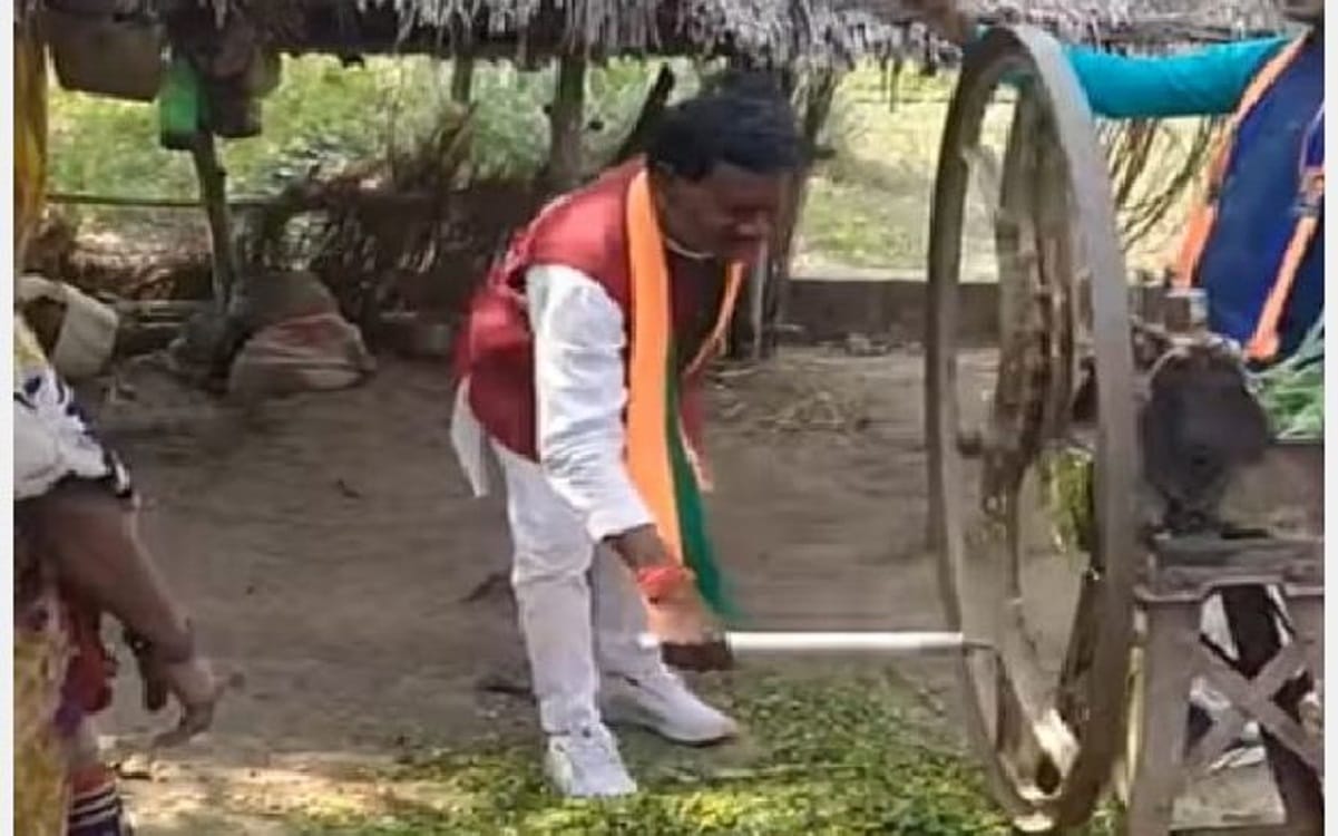 UP Election Result 2022 jaunpur Machhlishahr bjp candidate mehilal gautam story who adopted every trick but failure