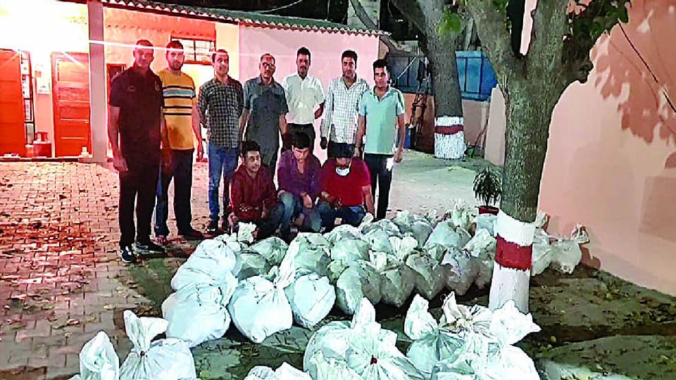 adulterated tata salt consignment recovered police arrested people