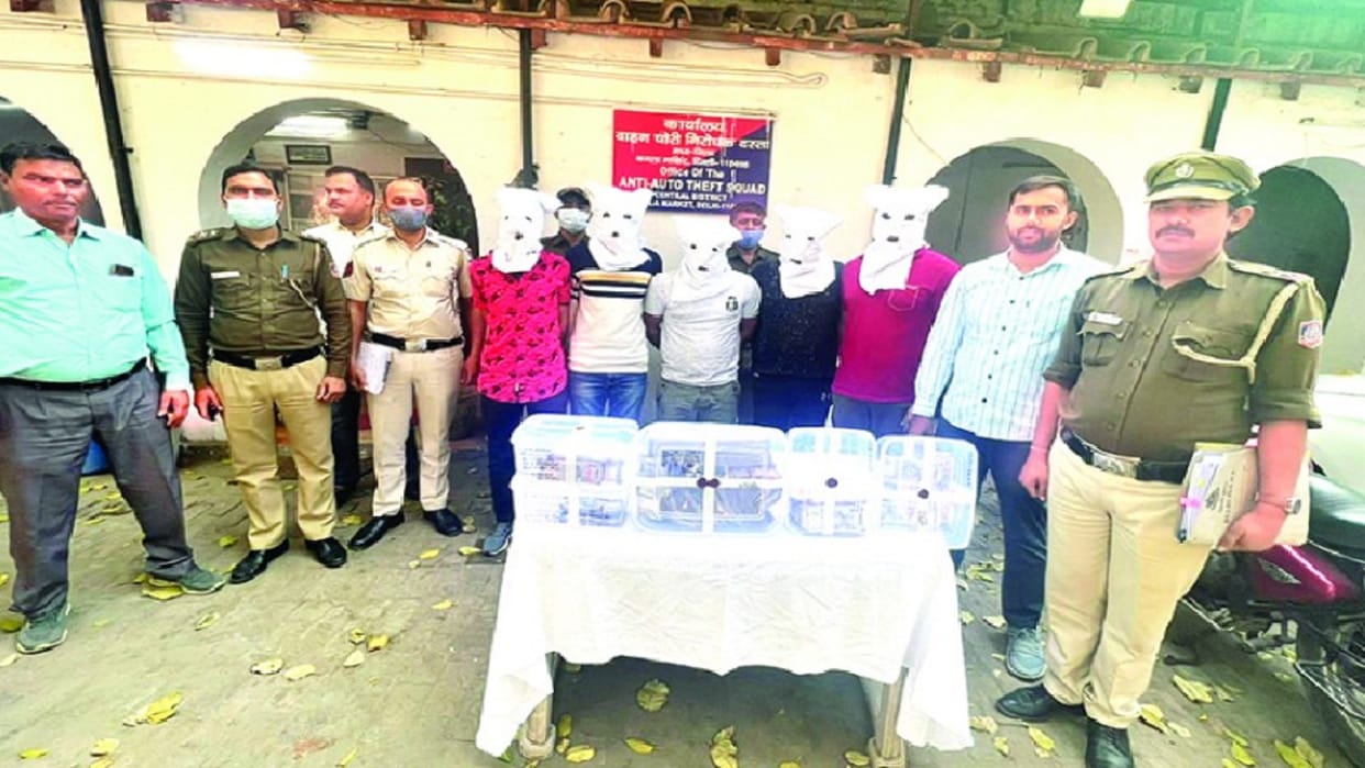 Delhi: Sharp shooters of gangster Sonu Dariyapur had looted 91 lakhs five crooks arrested from Punjab